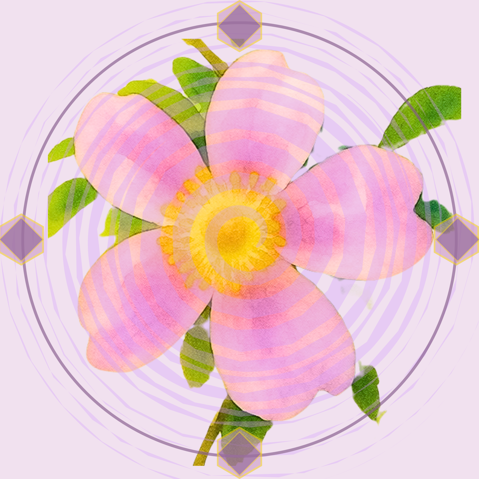 VIOLET ROSE HERBAL ARTS